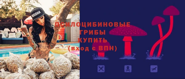 мяу мяу мука Алексеевка