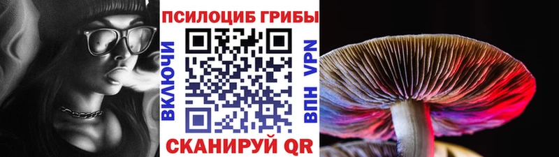 Псилоцибиновые грибы мухоморы Ладушкин